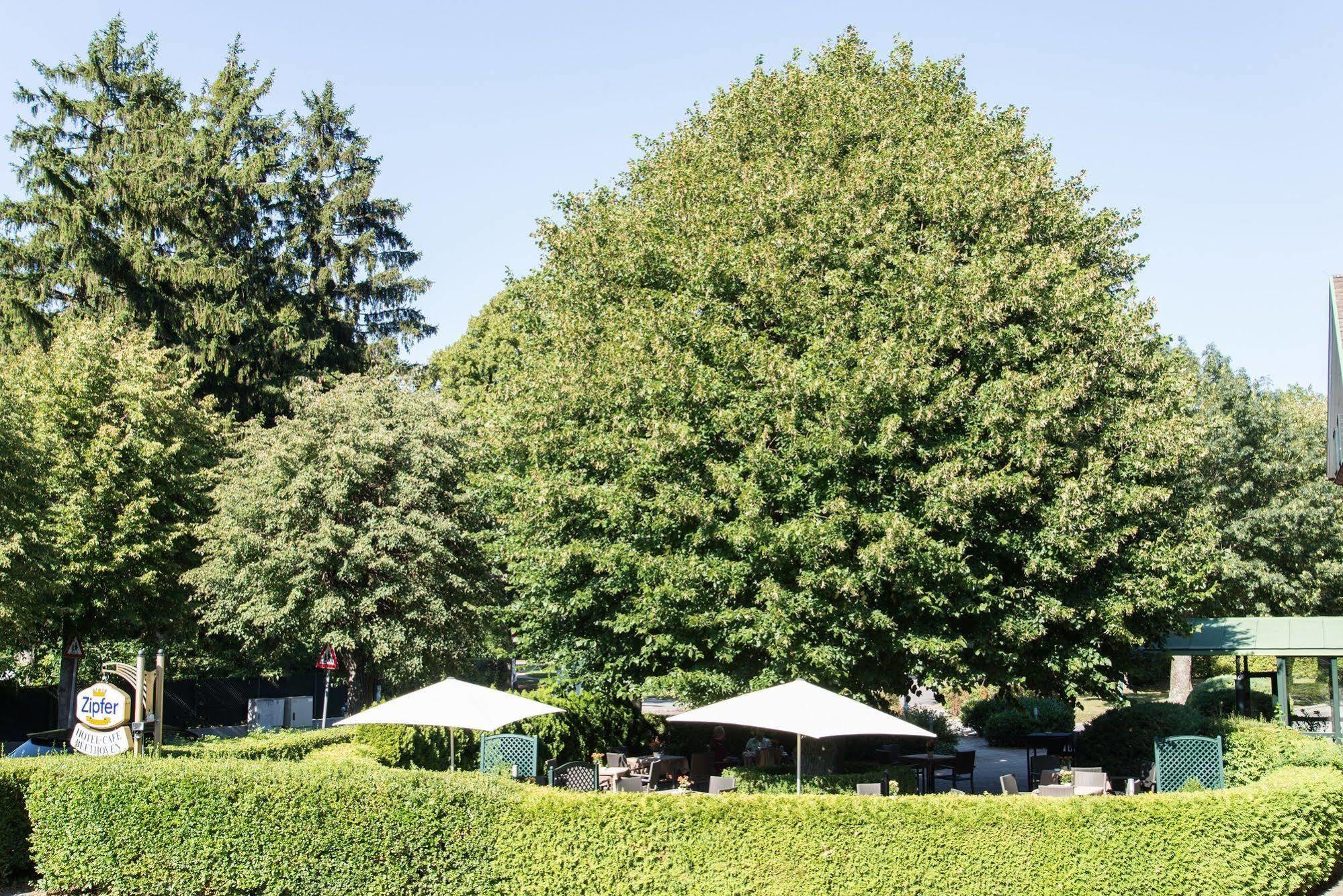 Hotel Beethoven Hinterbruehl Exterior photo